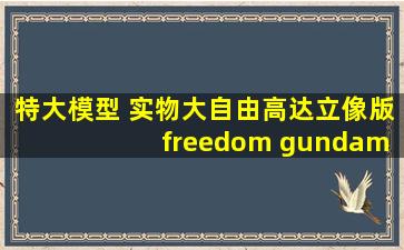 特大模型 实物大自由高达立像版 freedom gundam